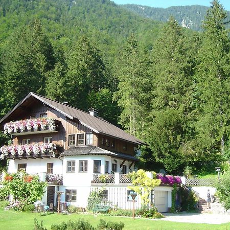 Apartment Stadler Obertraun Kültér fotó