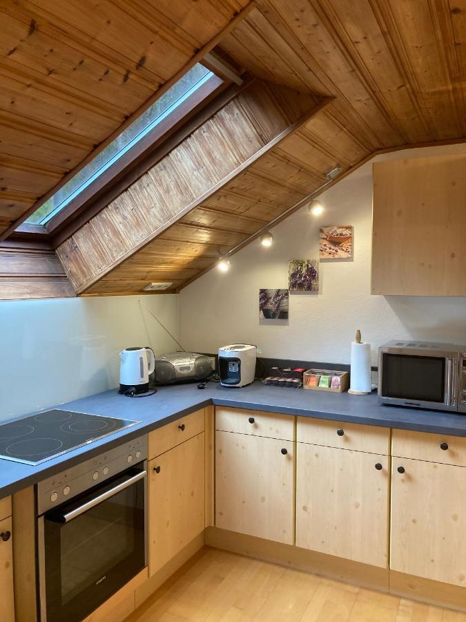 Apartment Stadler Obertraun Kültér fotó